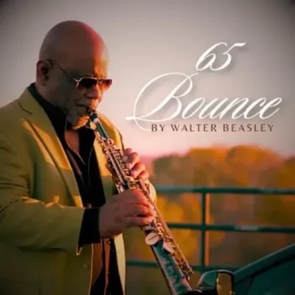 65 Bounce cover